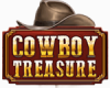 Cowboy Treasure