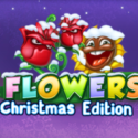 Flowers Christmas Edition